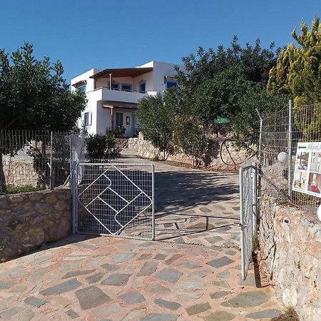 Alkioni Sea View Apartment Káto Zákros Eksteriør billede