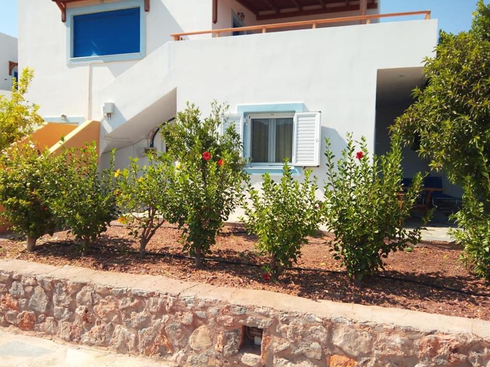 Alkioni Sea View Apartment Káto Zákros Eksteriør billede