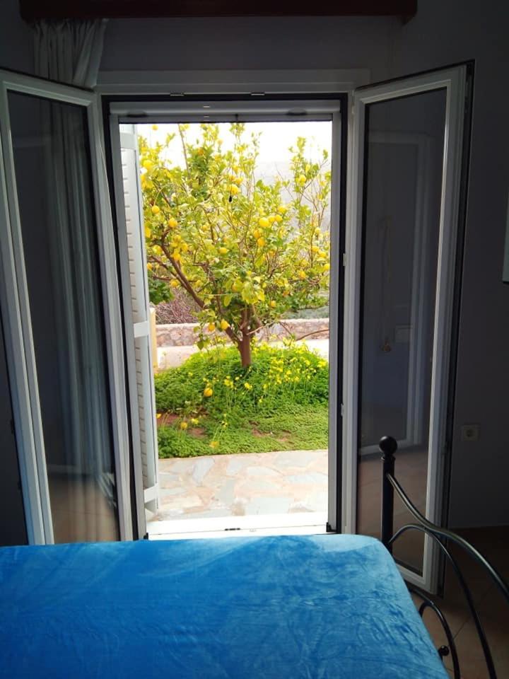 Alkioni Sea View Apartment Káto Zákros Eksteriør billede