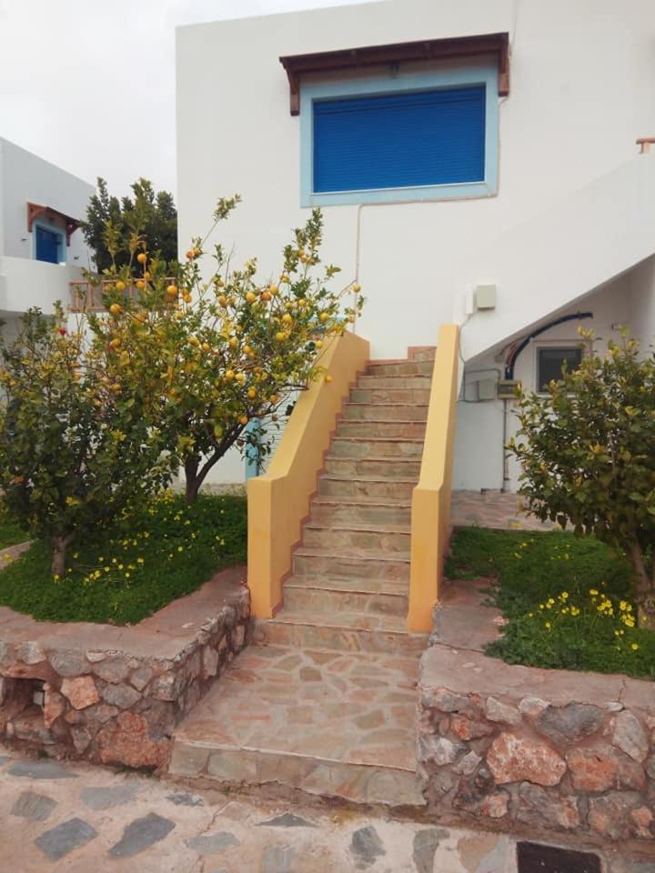 Alkioni Sea View Apartment Káto Zákros Eksteriør billede